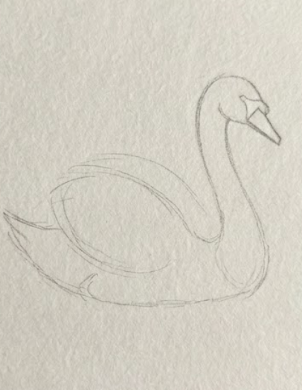 Outline of a swan on textured beige paper