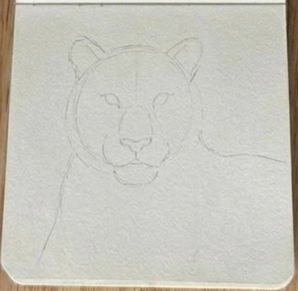 Step 1: Light pencil sketch outlining the head and muzzle for a loose tiger watercolor painting in an open sketchbook.
