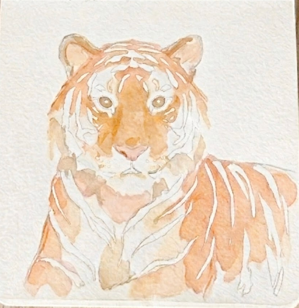 Step 2: Applying the first pale yellow and orange base wash for a tiger watercolor painting, leaving bare white paper for the eyes and chin.