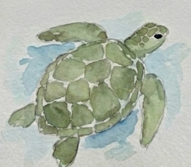 Turtle watercolor painting in progress with a light green base layer.