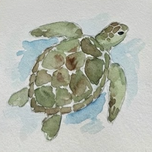 Completed turtle watercolor painting with shaded shell and flipper details.