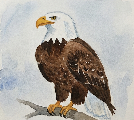Watercolor painting of a bald eagle on a branch with a blue and gray background