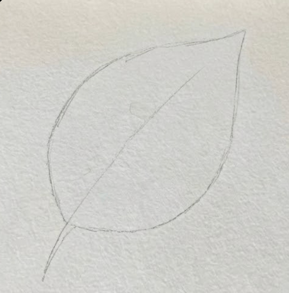 Step 1 pencil sketch for watercolor leaf painting
