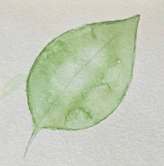 Step 2 applying light green base wash to watercolor leaf