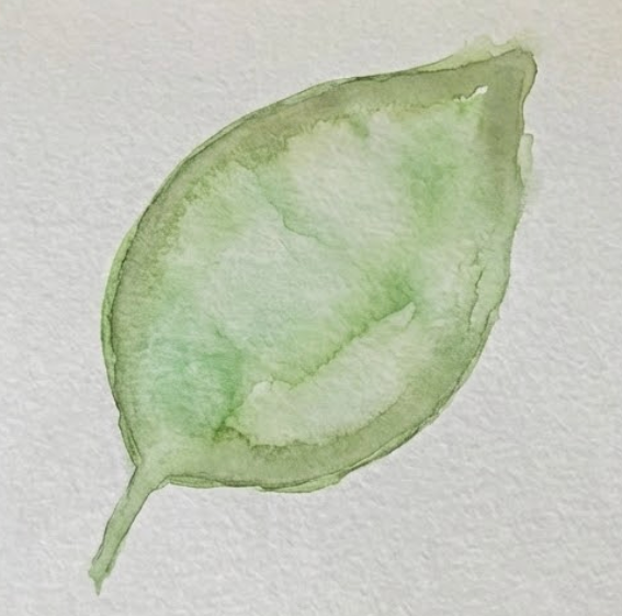 Step 3 defining edges with darker pigment in watercolor leaf painting