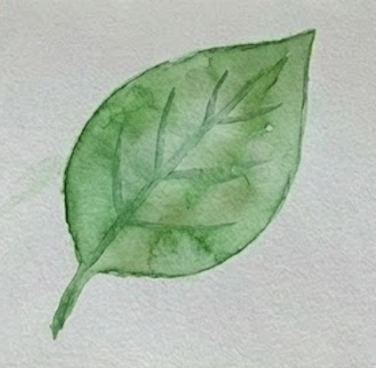 Finished watercolor leaf painting with painted veins (Step 4)