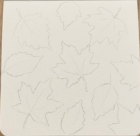 Faint pencil sketches of different leaf shapes on white paper for the initial step of a watercolor painting of autumn leaves.