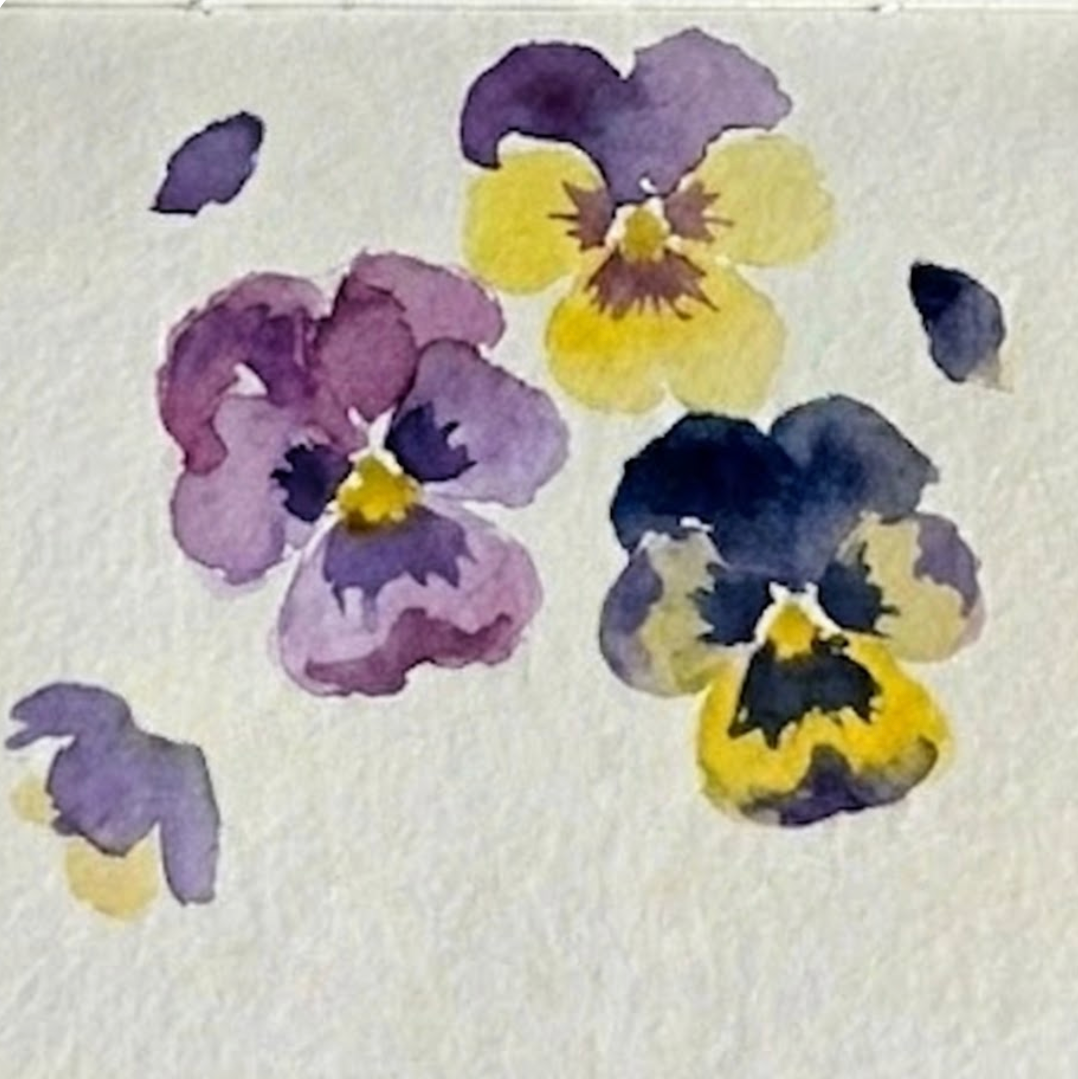 Step 3 of watercolor pansies showing deep indigo paint dropped into the petal bases for dark, velvety contrast.