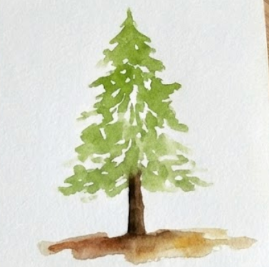 Watercolor painting of a green pine tree on a white background