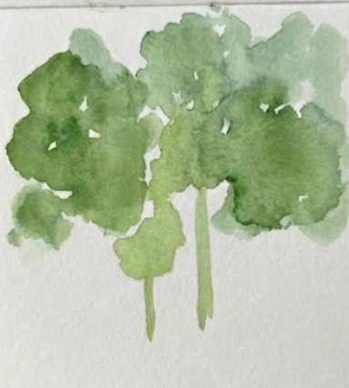 Watercolor painting of green leaves on a white background