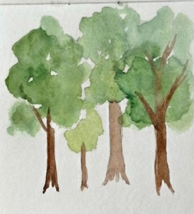 Watercolor illustration of trees on a white background