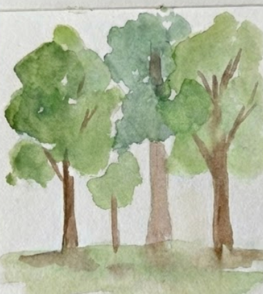 Watercolor illustration of trees on a white background