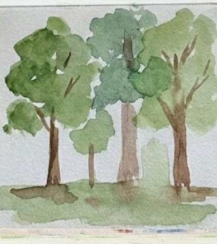 Watercolor painting of trees on a white background