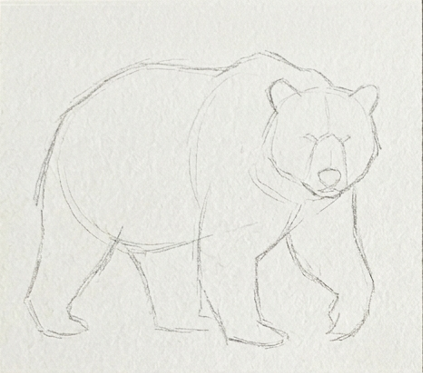 Light pencil outline and sketch silhouette for the initial step of a bear watercolor painting.