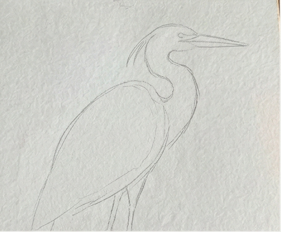 Light pencil sketch outline of a bird for step one of a loose blue heron watercolor painting tutorial.