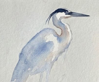 Applying the first pale blue wash to the paper in step two of our expressive blue heron watercolor painting.