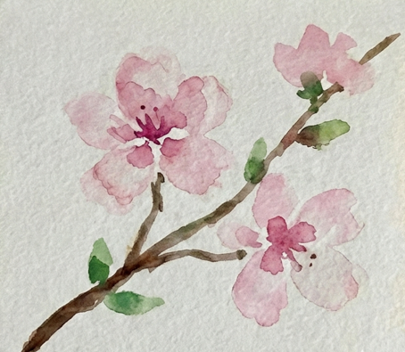 Final step completing the sketchbook study by painting the brown branch connecting the blooms and adding fresh green leaves for contrast.