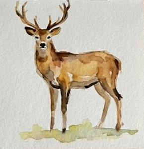 The completed, expressive deer watercolor painting featuring strong antlers, dark eye and nose details, and a loose green grass wash grounding the animal.