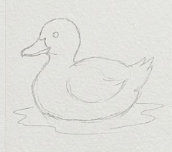 Faint graphite lines on textured cold press watercolor paper, with minimal detail, showing the basic structure and forms of the body and water ripple outline.