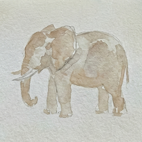 Step 1 of an elephant watercolor painting tutorial, showing a loose pencil silhouette and a pale Burnt Umber base wash with dry, unpainted patches left for natural highlights.