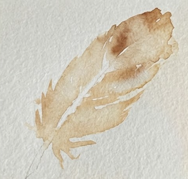 The first layer of paint, a pale, watery wash of Raw Sienna, is applied within the sketched outline, covering the main body of the feather.