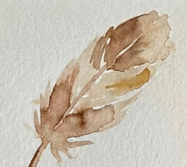 The final step shows the completed painting with dry details added. A dark Burnt Umber line defines the central quill, and fine, dry brushstrokes create the texture of individual barbs and ruffles along the edges, including a distinct split in the feather.