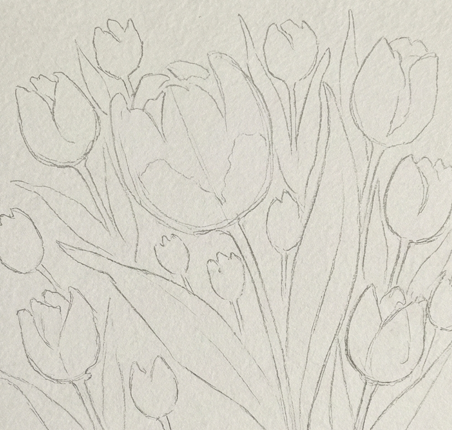 Step 1 of a floral watercolor painting showing a light, loose pencil sketch of tulip cup shapes and long, sweeping leaves on textured paper.
