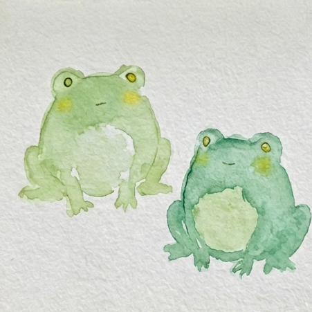 Light translucent Sap Green wash applied over the two frogs, the second step in creating a loose watercolor paintings of frogs sketchbook study.