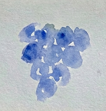 Step 1 of a fruit watercolor painting showing loose, watery blue blobs painted in a rough cluster shape on textured paper.