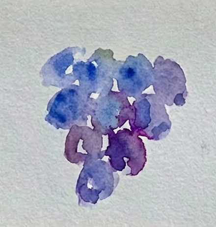Step 2 demonstrating the wet-on-wet technique by dropping violet pigment into the damp blue grapes to create soft, bleeding shadows.