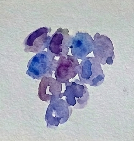 Step 3 building the grape bunch with varying tones of ultramarine and purple to add depth and dimension without hard outlines.