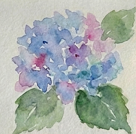 The final stage of the painting shows the hydrangea with defined petals and centers, and the leaves with more detailed veins and shading, completing the loose watercolor study.