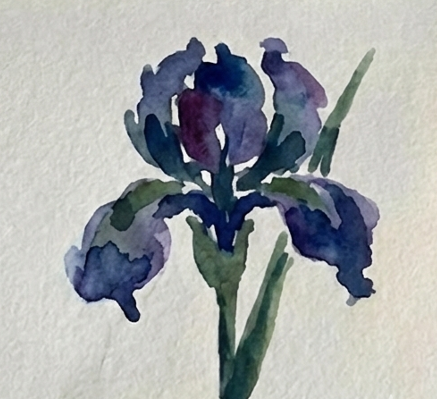 The final stage of the watercolor iris painting, where crisp, dark purple and blue details have been added for veins and shadows on the dry layers, completing the expressive study.