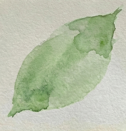 Step 1 of a ladybug watercolor painting tutorial, showing a loose Sap Green watercolor wash applied to textured paper to create the leaf base.