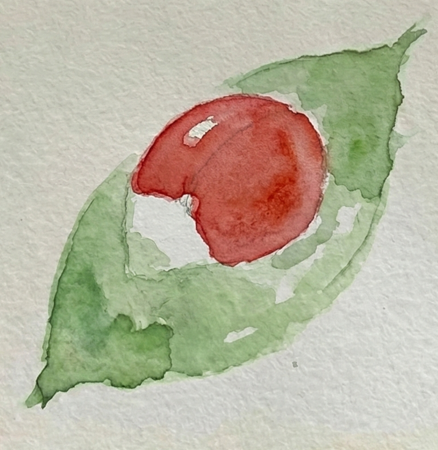 Step 2 painting the glossy dome of the ladybug shell with Cadmium Red, deliberately leaving a white paper highlight for shine.