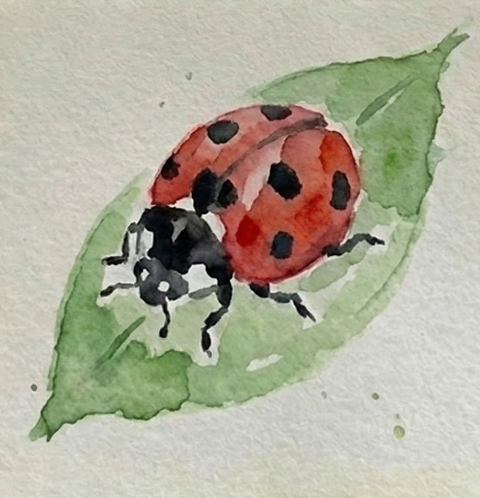 Step 3 adding the black head and crisp spots using Lamp Black watercolor onto the dry red shell using a wet-on-dry technique.