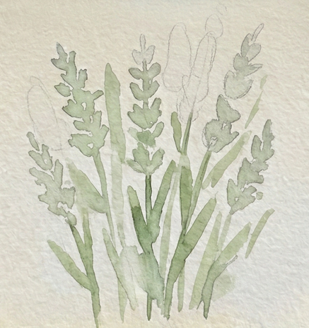 The pencil sketch from step one with the initial light green watercolor wash applied to the stems and leaves. This demonstrates the base layer watercolor technique for flower painting.
