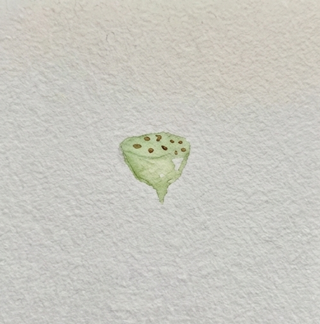 Step 1 of a loose lotus flower watercolor painting, showing the small green seed pod with brown dots painted in the center.