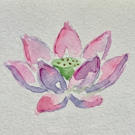 Step 2 adding wide pink and purple watercolor petals that radiate from the central green pod using expressive brushstrokes.