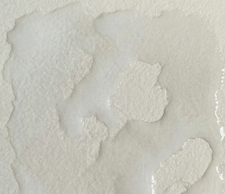 A close-up of watercolor paper completely covered in a glossy layer of clean water, demonstrating the "soak" stage needed for wet-on-wet painting. This matches Step 1: The Soak, where the paper must be shiny and slick before adding any pigment.