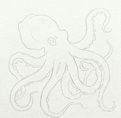 First step of an octopus watercolor painting: a faint pencil outline sketch on textured paper.