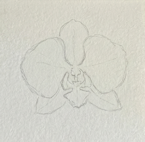 Step 1 of an orchid watercolor painting tutorial, showing a light pencil sketch outlining the basic petal and center shapes on textured paper.