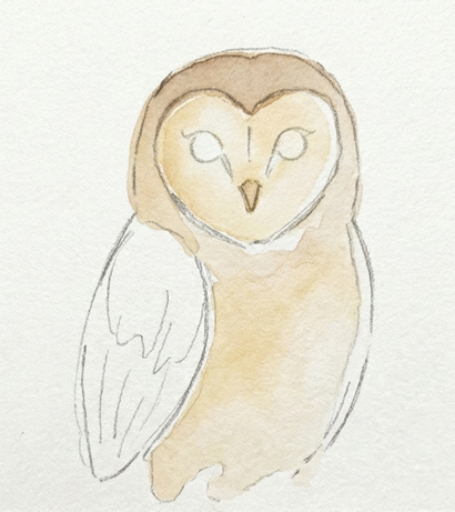The owl sketch with the first light wash of Raw Sienna (or Yellow Ochre) paint applied to the heart-shaped face and belly, a foundational step in an owl watercolor painting process.