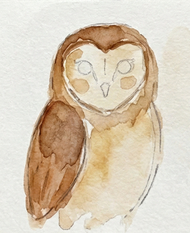 The owl portrait progressing with mid-tone Burnt Sienna watercolor applied to the head and wings, building the base color and form on dry paper for an owl watercolor painting.