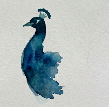 Step 1 of a peacock watercolor painting, defining the regal silhouette with a confident S-curve brushstroke in deep Prussian Blue for the neck and chest.
