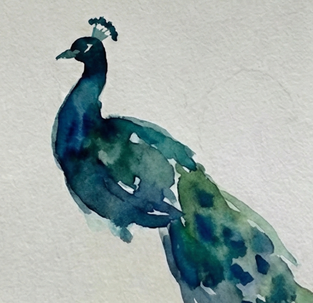 Step 3 painting the trailing tail feathers with loose, watery green strokes and dropping in blue pigment to suggest the "eye" patterns without detailed drawing.