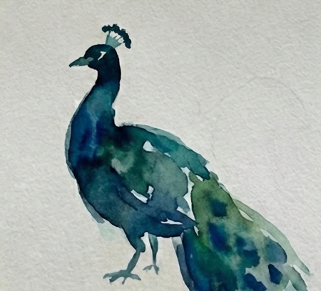 Step 4 completing the expressive peacock watercolor painting by adding final dry-brush details like the delicate head crest, beak, and legs.