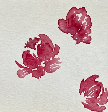 Step 1 of loose watercolor paintings of peonies, showing deep rose pink centers painted with jagged brushstrokes and white negative space.