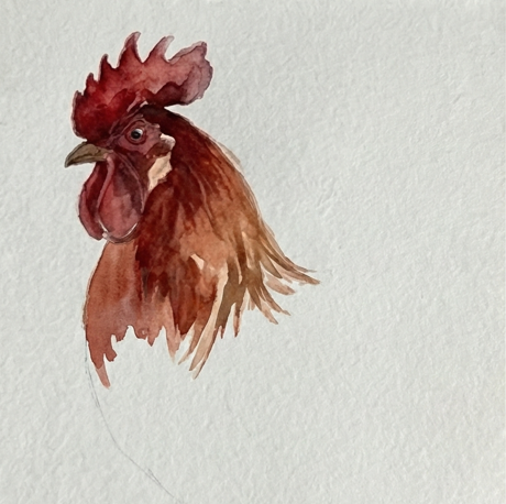 Step 1 of a rooster watercolor painting tutorial, showing the bright Alizarin Crimson comb and wattle painted with jagged, flame-like strokes.