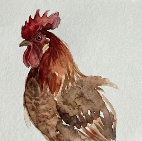 Step 2 painting the mottled chest of the rooster with dark Burnt Umber dabs to create soft, downy feather texture and volume.